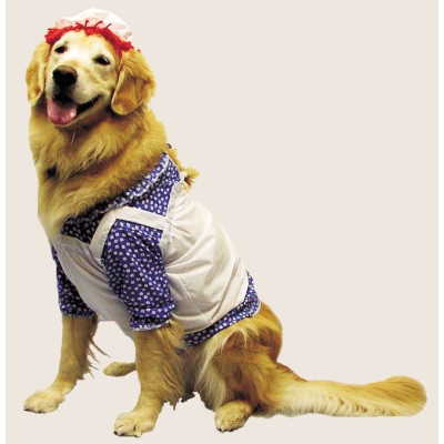 Raggedy Ann Pet Costume Large