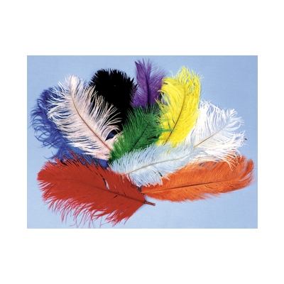 Ostrich Plumes Green