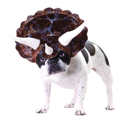 Triceratops Pet Animal Planet