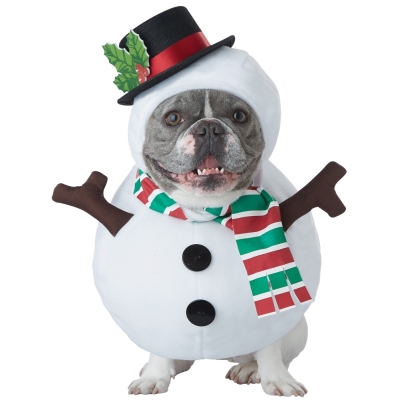 Snowman Dog Md
