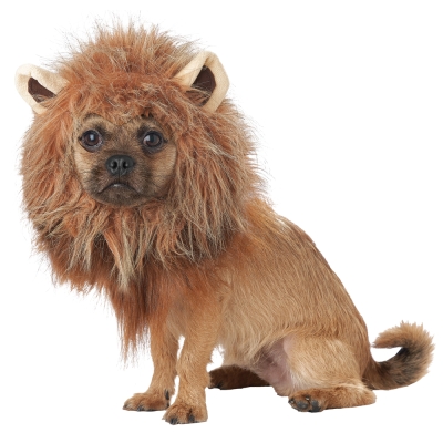 King Of Jungle Dog Costume Pet Medium