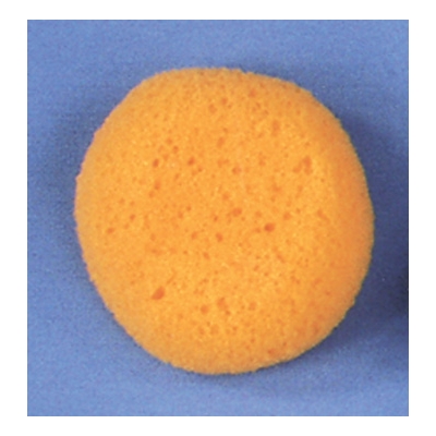 Sponge Cosmetic