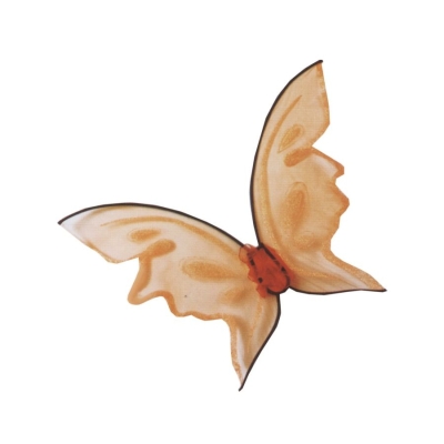 Wings Butterfly Orng Hot Color