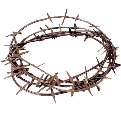 Crown Of Thorns