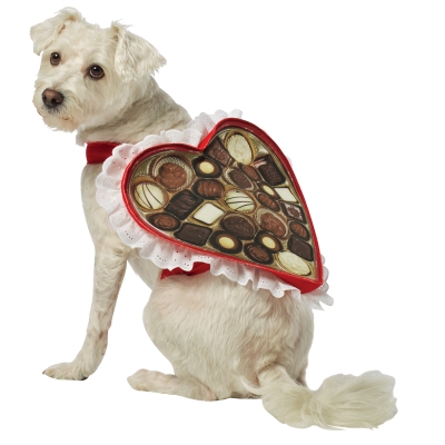 Chocolate Box Dog Costume Xs