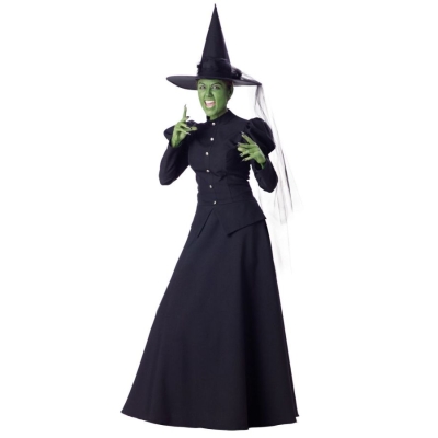Wicked Witch Adult Xlge