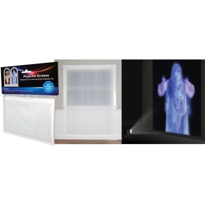 Profx Projector Screen 2 4X6Ft