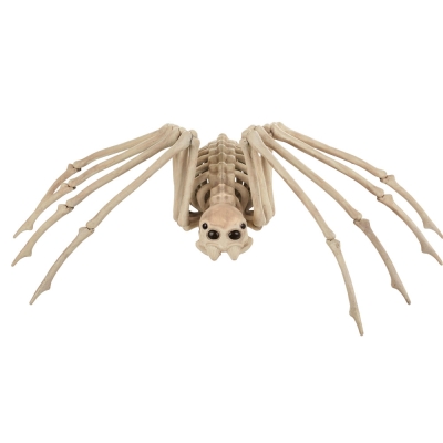 Skeleton Spider