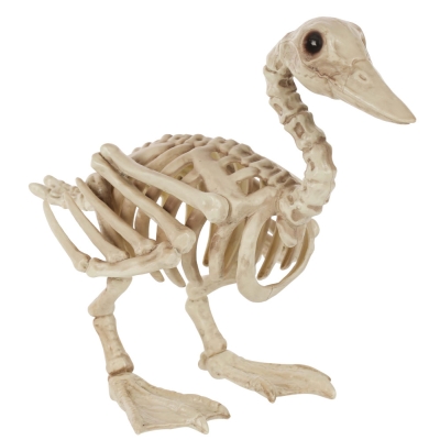 Duck Bonez