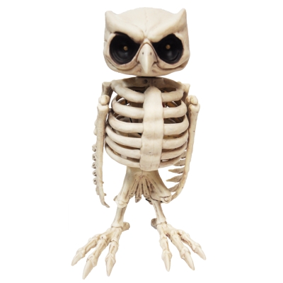 Owl Skeleton Animated