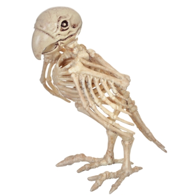 Skeleton Parrot