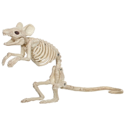 Mouse Standing Skeleton