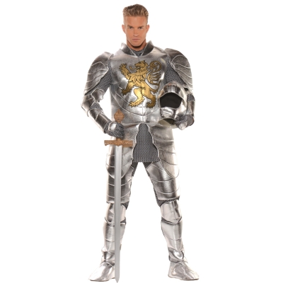 Knight In Shining Armour Adult