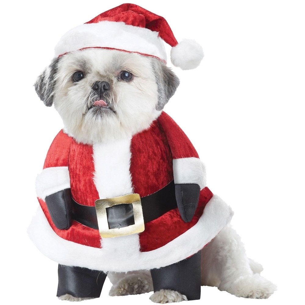 Santa Paws Dog Md