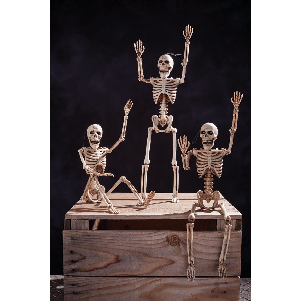 14 In Skeleton In