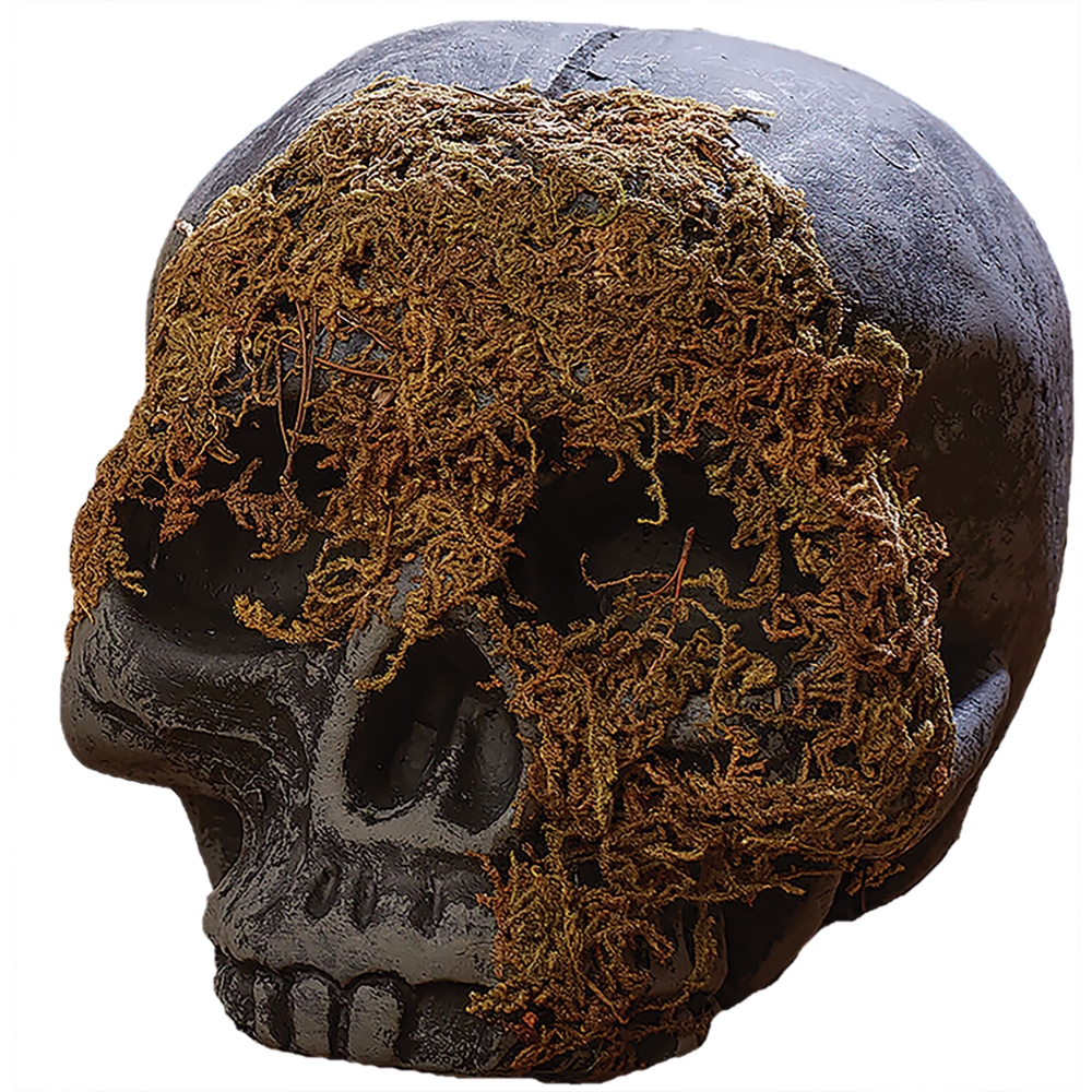 Skull Moss Covered No Jaw