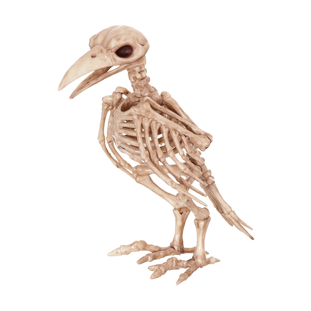 Skeleton Raven