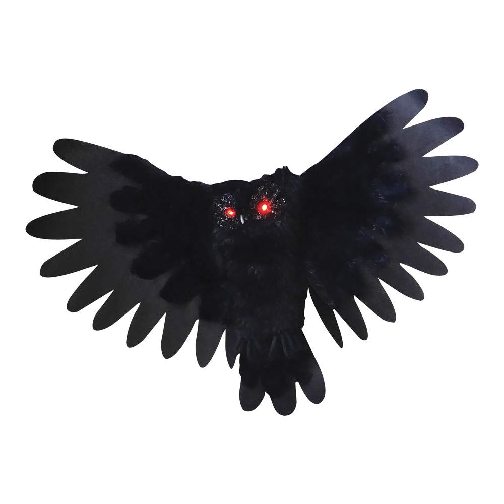 Animated Owl