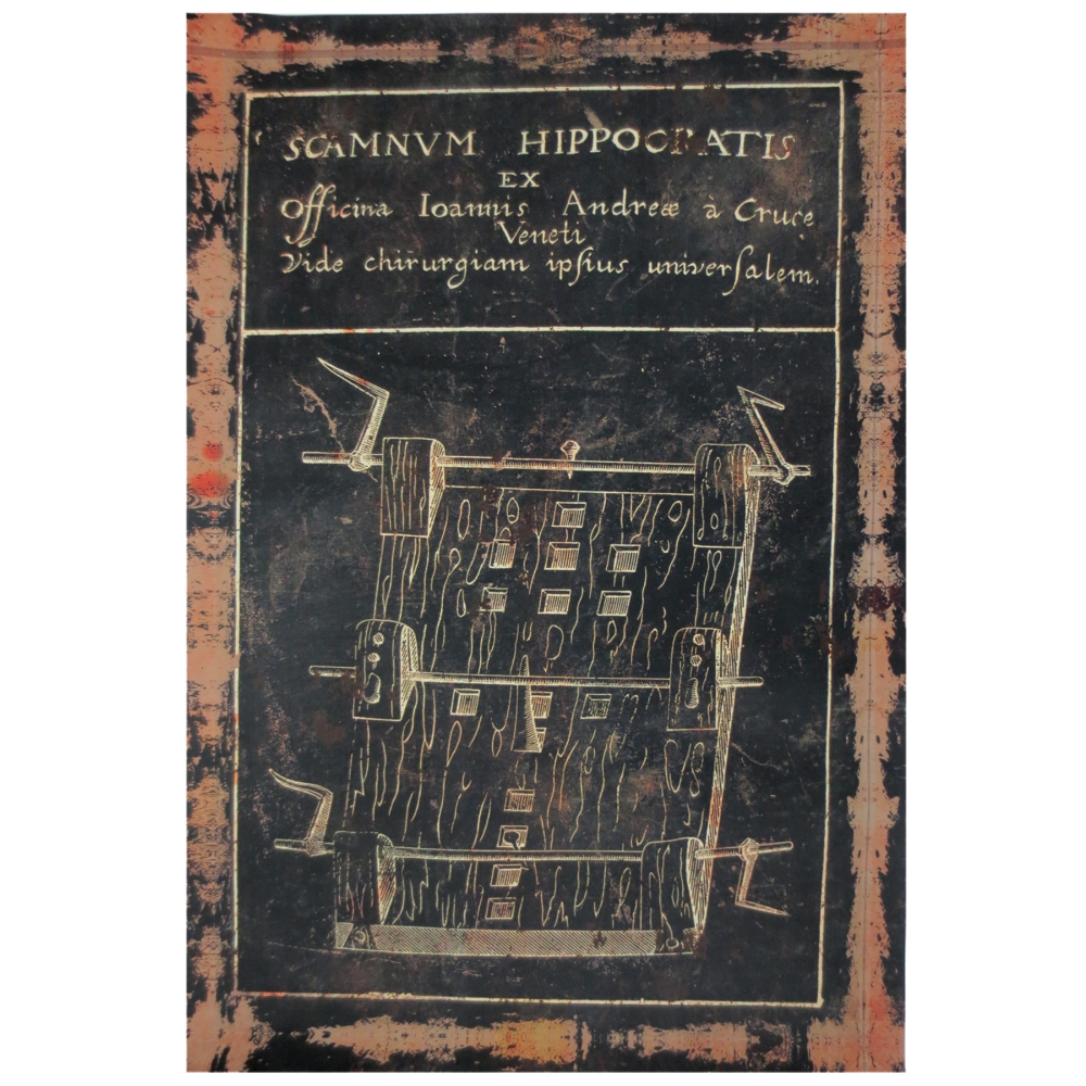 Canvas Print W/O Frame