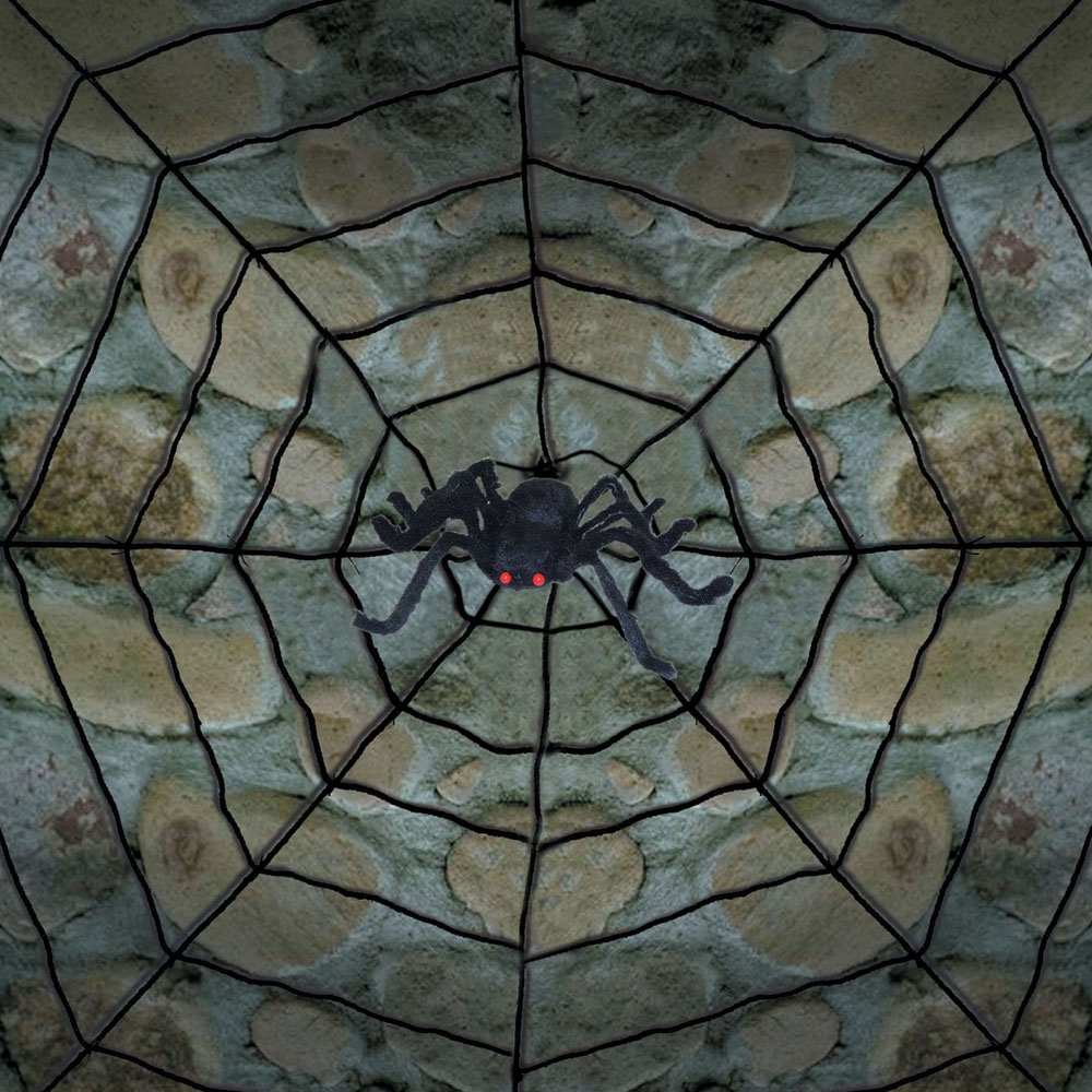 Giant Spider Web W Spider