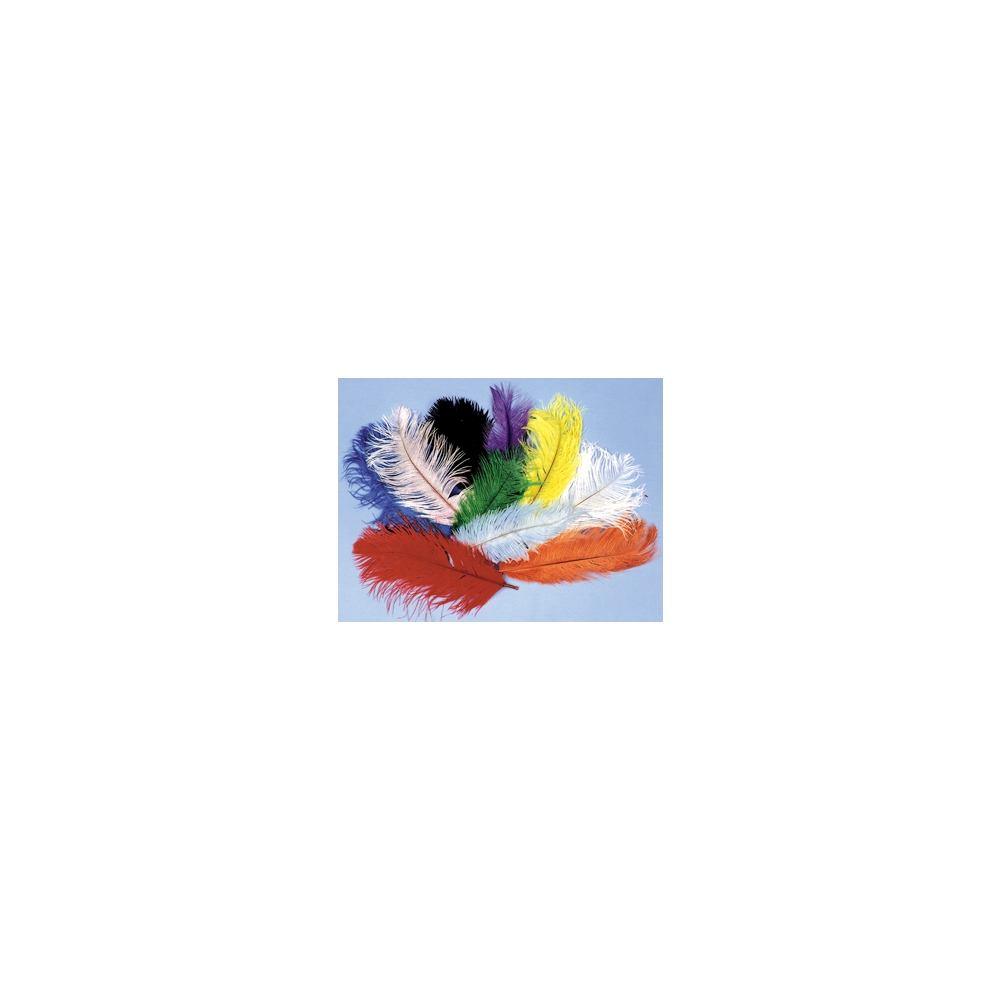 Ostrich Plumes Pink