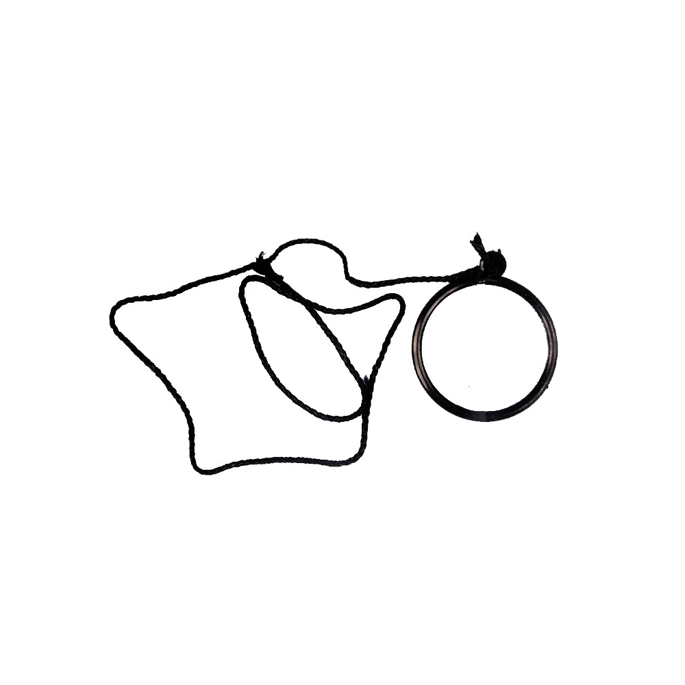 Monocle