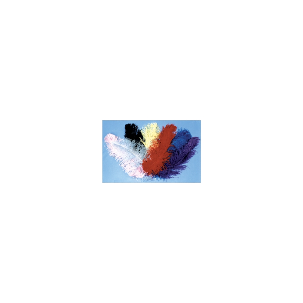 Ostrich Plumes White Jumbo