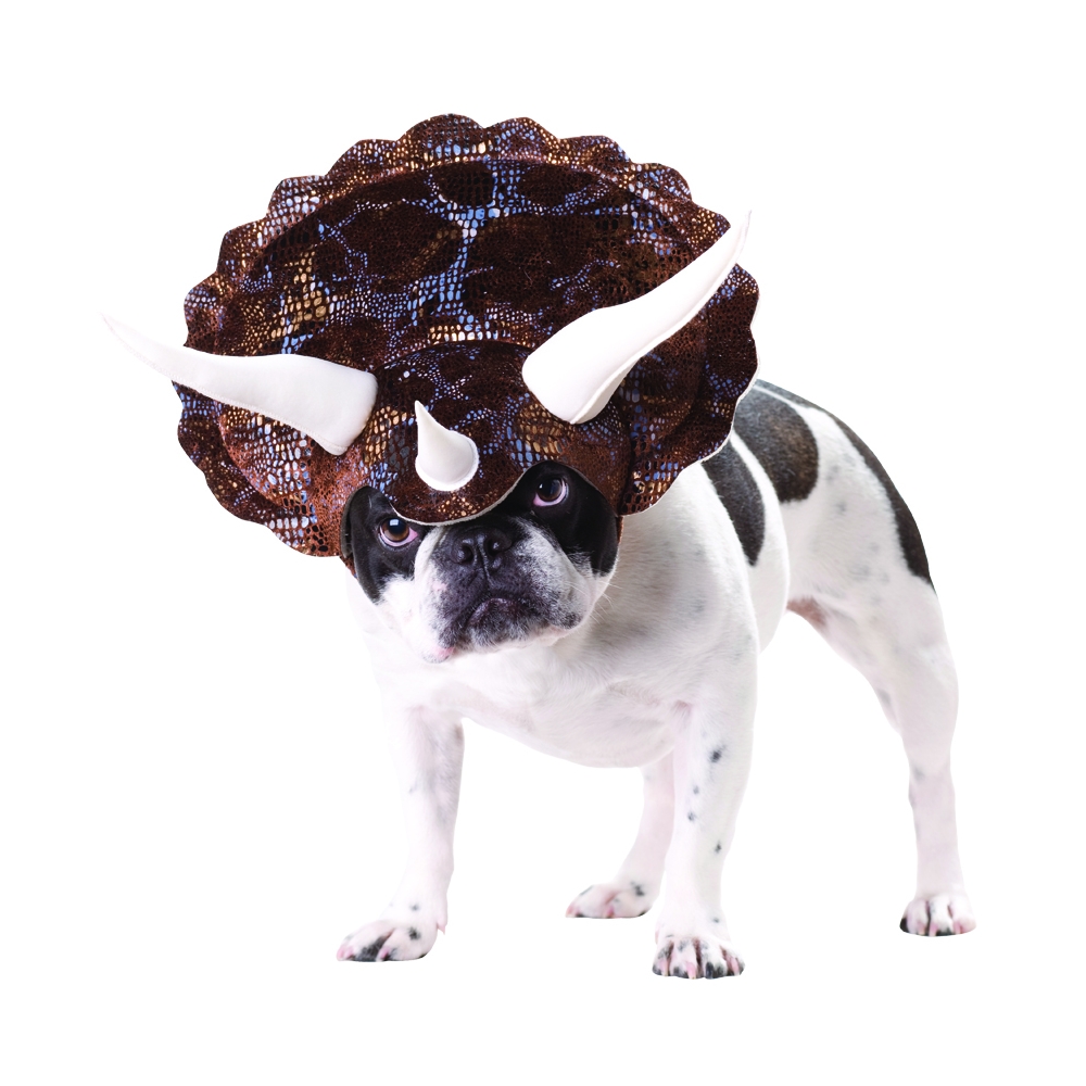 Triceratops Pet Animal Planet