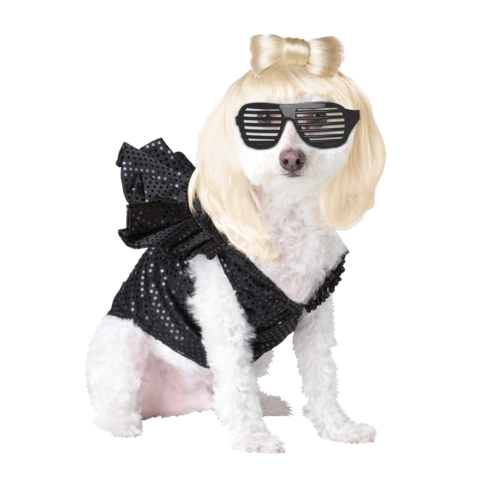 Lady Dogga  Pet Small