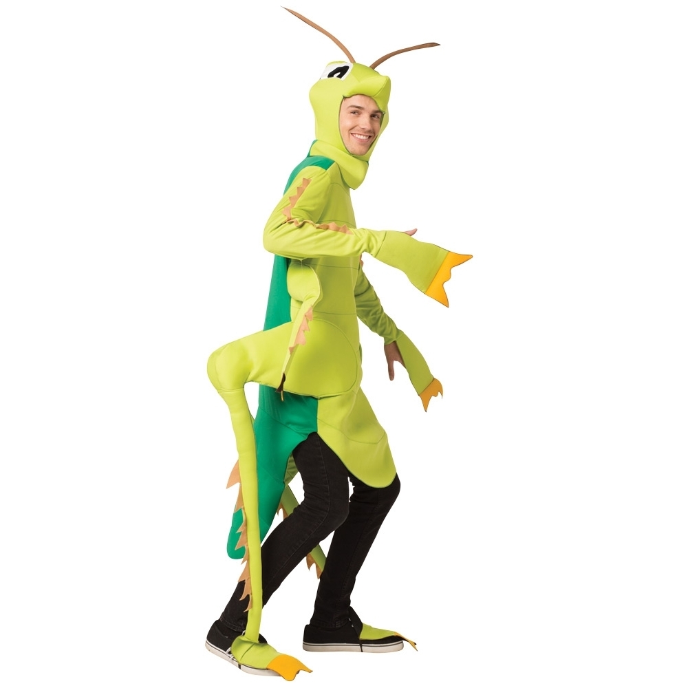 Grasshopper Adult