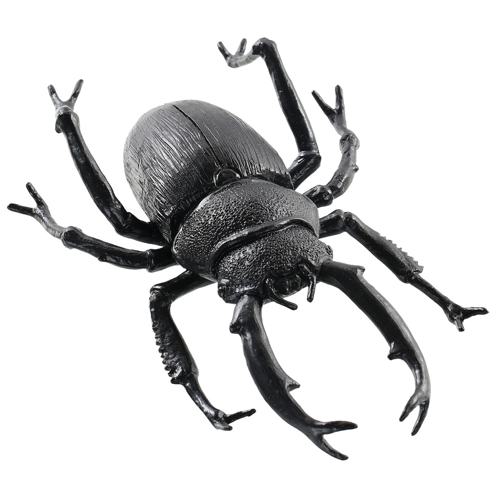 Black Beetle 8 Inches