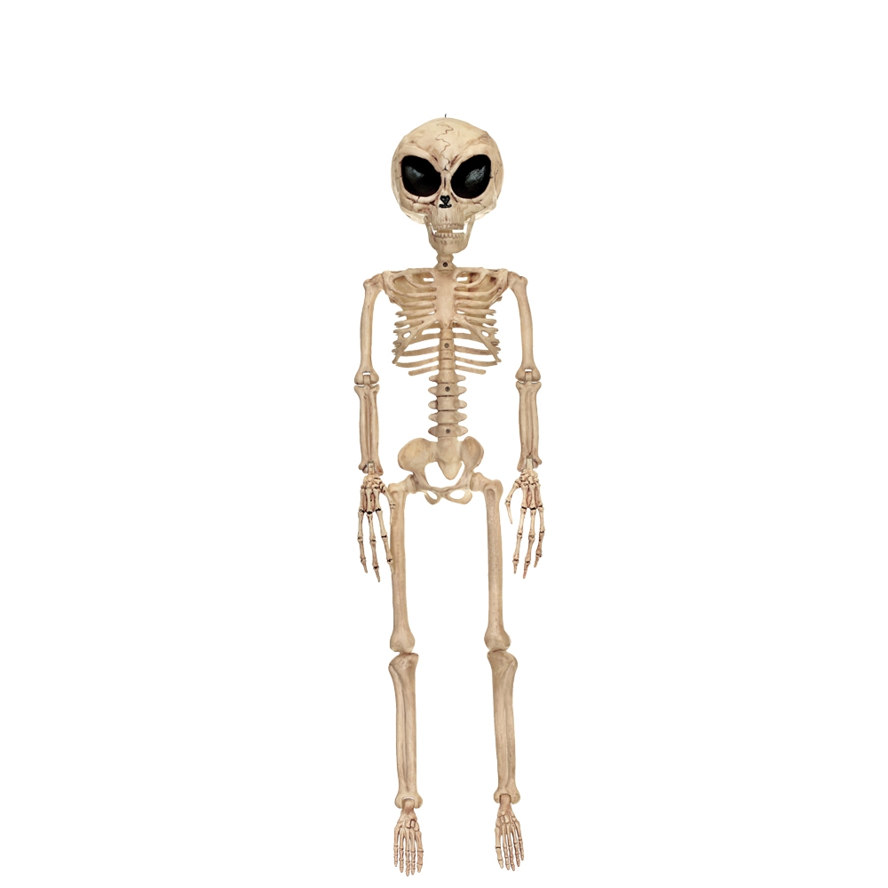 Alien Skeleton Bone Color 37In