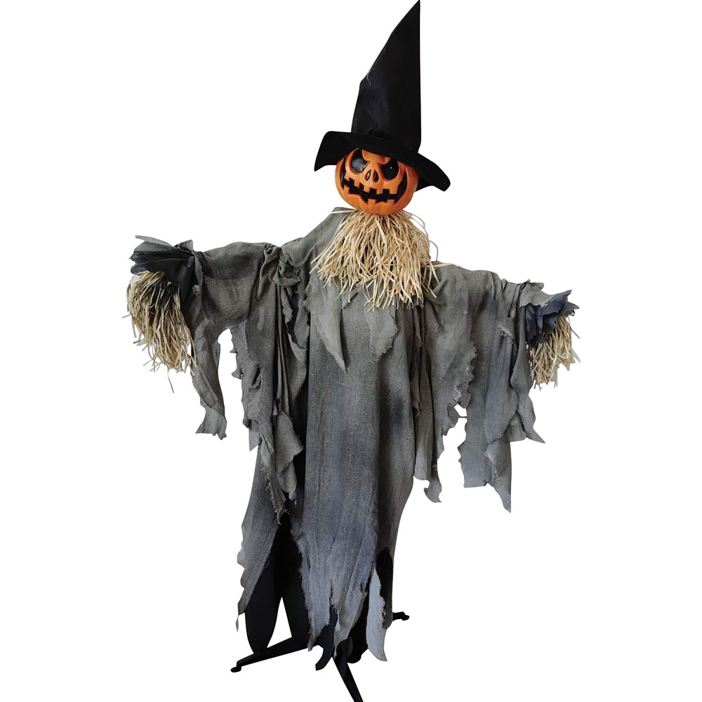 Pumpkin Animated W Hat