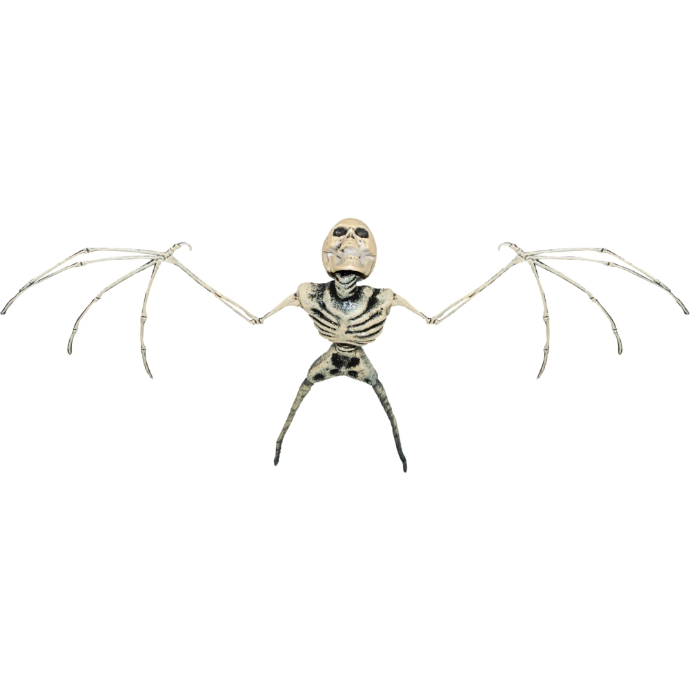 Bat Skeleton