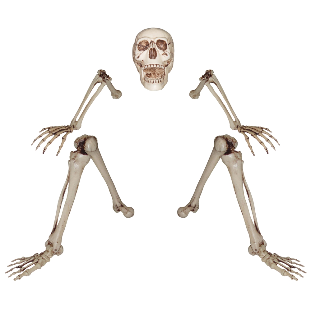 Skeleton Ground Breaking