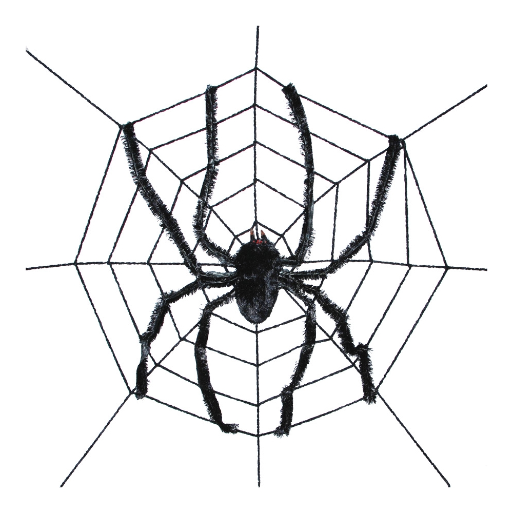 Spider Web With Spider