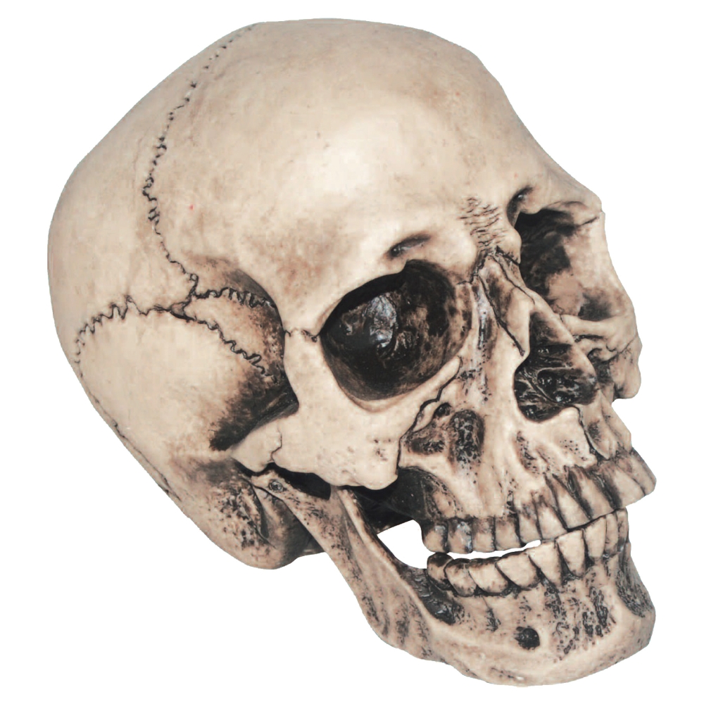 Vinyl Skull 7 Inches