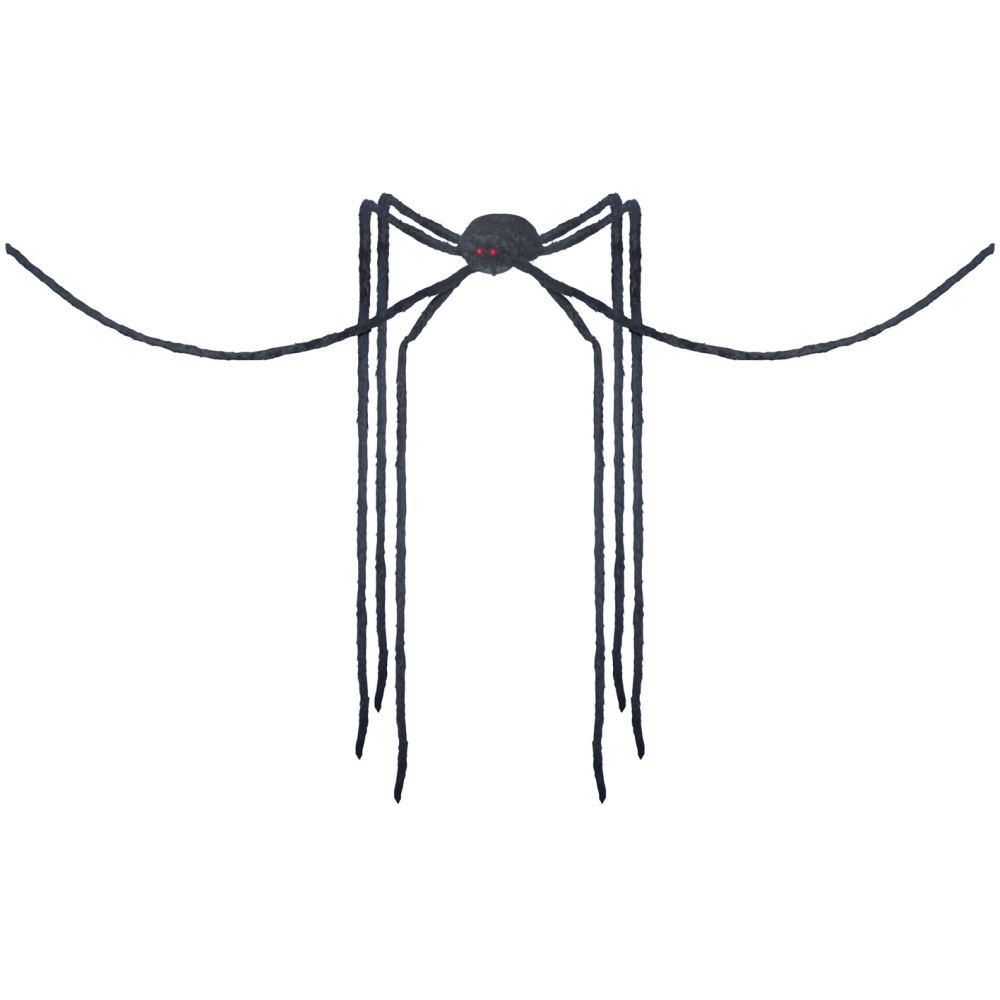 Spider Black Long Legs