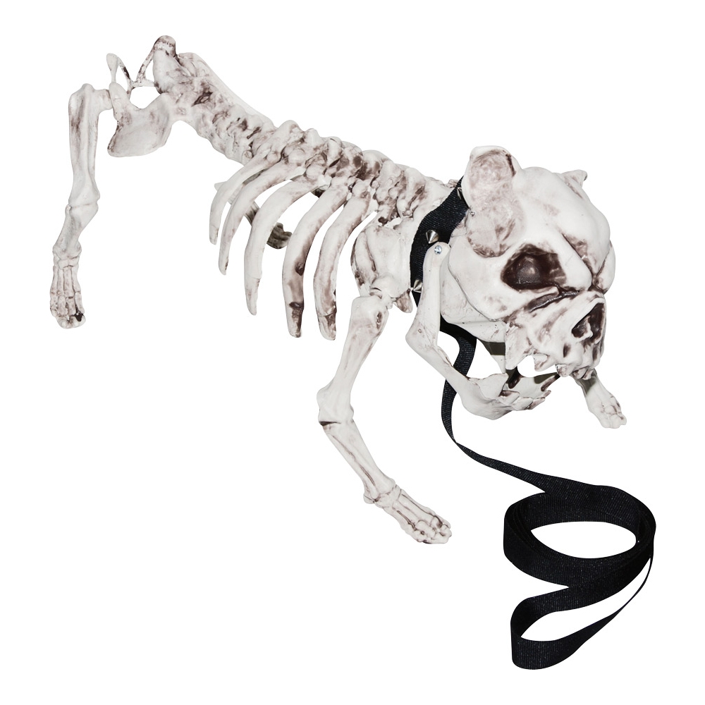 Skeleton Dog