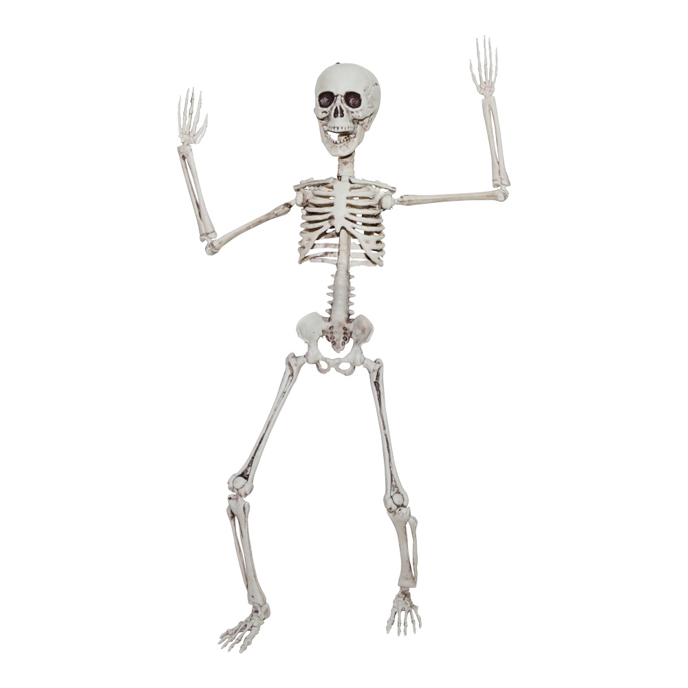 Poseable Skeleton 20 In