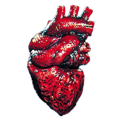 Heart