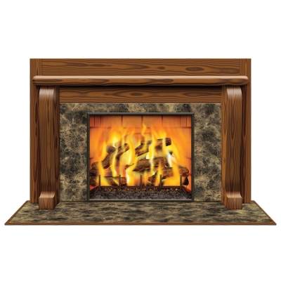 Fireplace Insta-View