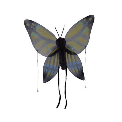 Wings Child Buttrfly Yw Grn