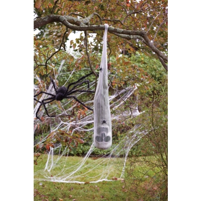 Skull In Spider Cocoon