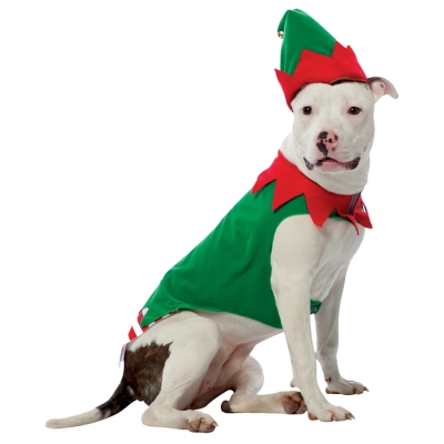 Pet Costume Elf Md