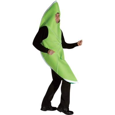 Lime Costume Adult