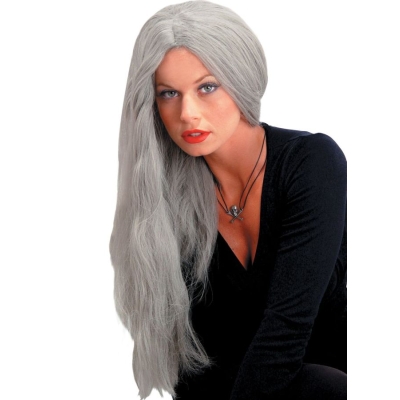 Wig 24 Inch Straight Grey
