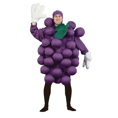 Grapes Purple Adult Costume