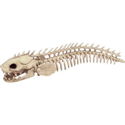 Skeleton Eel