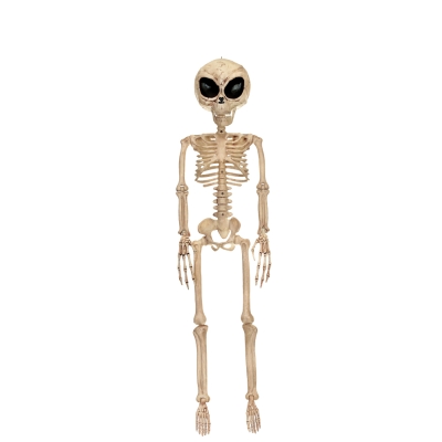 Alien Skeleton Bone Color 37In